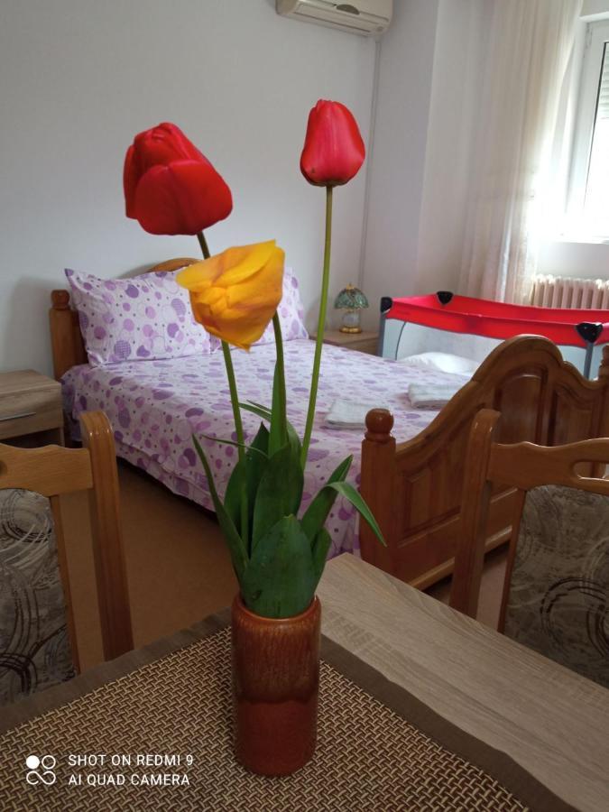 Apartman Andelina Vrnjačka Banja 외부 사진