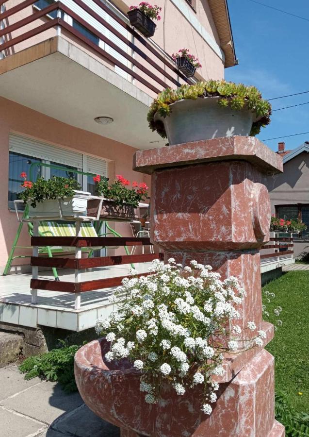 Apartman Andelina Vrnjačka Banja 외부 사진