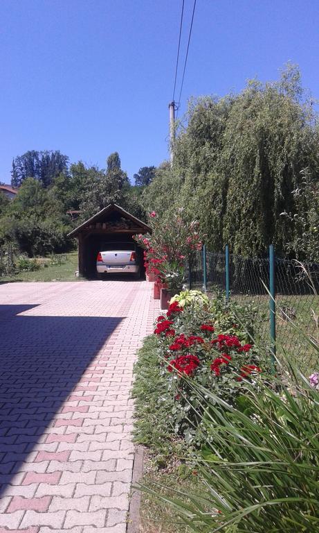 Apartman Andelina Vrnjačka Banja 외부 사진