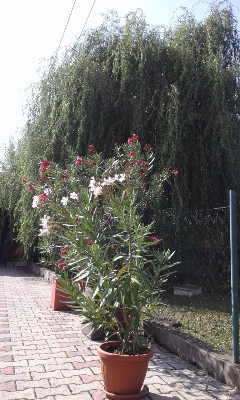 Apartman Andelina Vrnjačka Banja 외부 사진