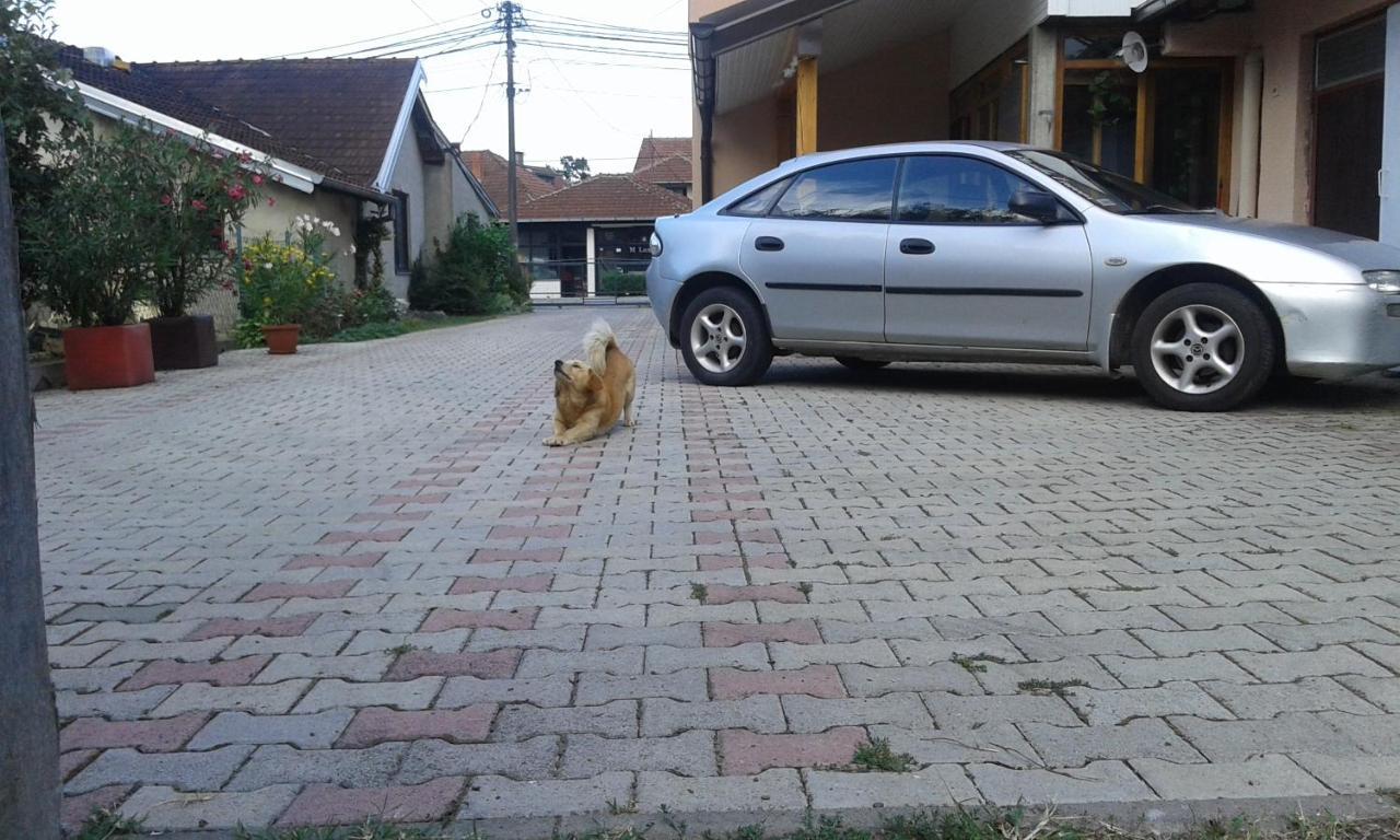 Apartman Andelina Vrnjačka Banja 외부 사진